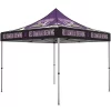 10' x 10' Canopy Tent - Image 4